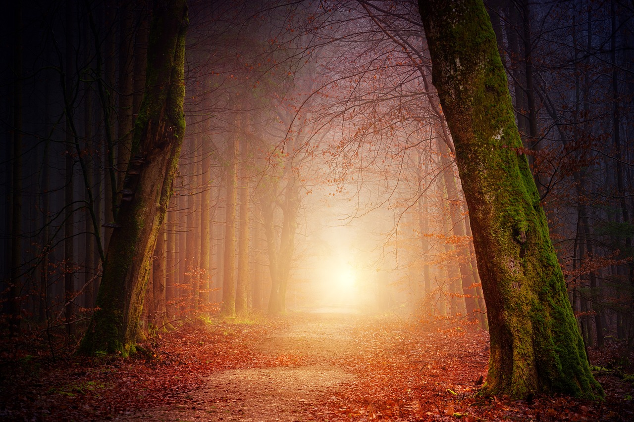 Do Dreams Have a Philosophical Meaning?